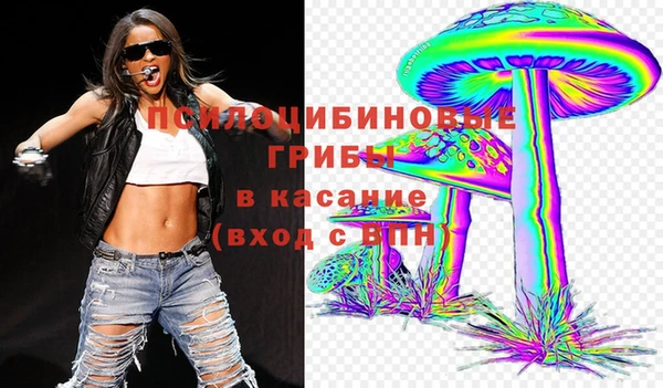 дмт Сясьстрой