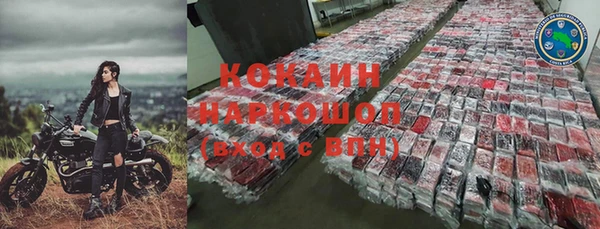спиды Тайга