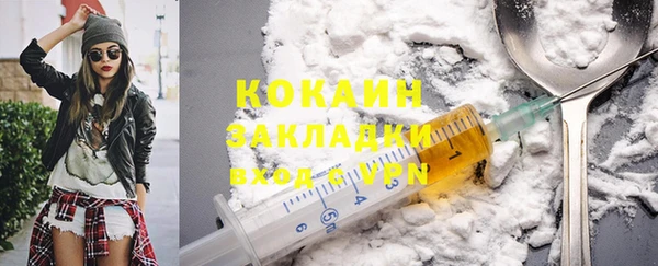 спиды Тайга