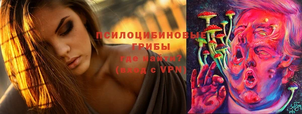 дмт Сясьстрой