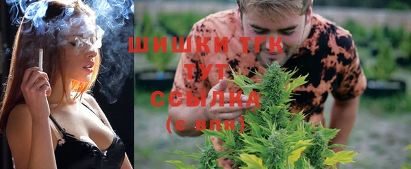 спиды Тайга