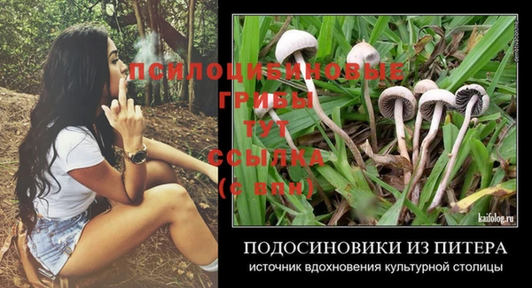 спиды Тайга