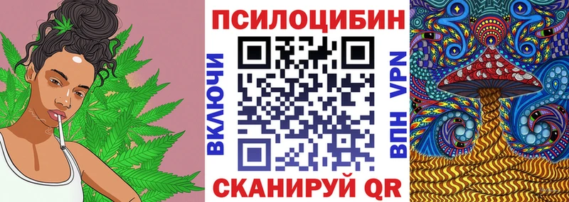 Купить  Буйнакск  Галлюциногенные грибы прущие грибы 